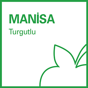 bfit Manisa Turgutlu