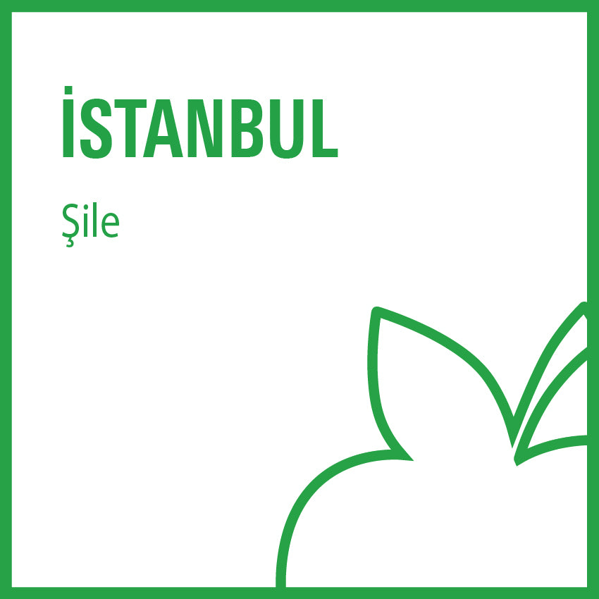 b-fit İstanbul Şile - 34701