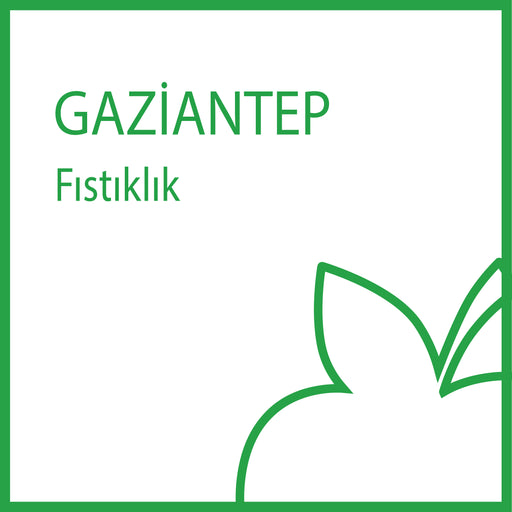 b-fit Gaziantep Fıstıklık - 27006