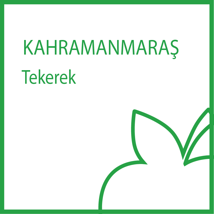 b-fit Kahramanmaraş Tekerek - 46001