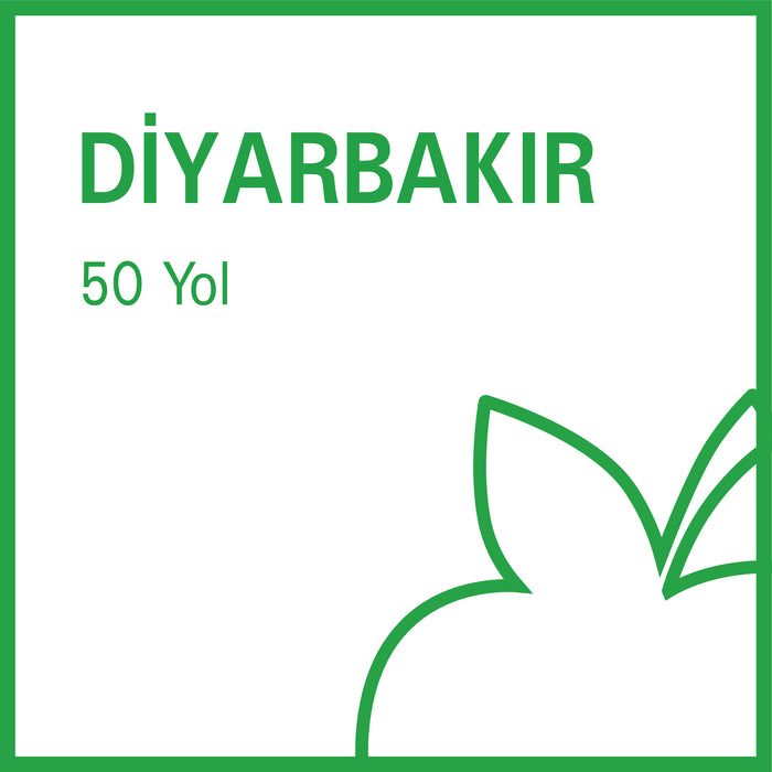 b-fit Diyarbakır 50 Yol - 21013