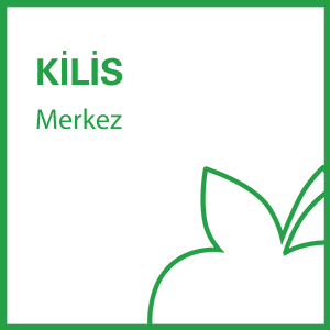 b-fit Kilis Merkez - 79001