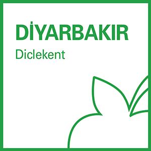 bfit Diyarbakır Diclekent